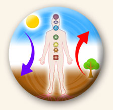 bio-energeticien a rennes