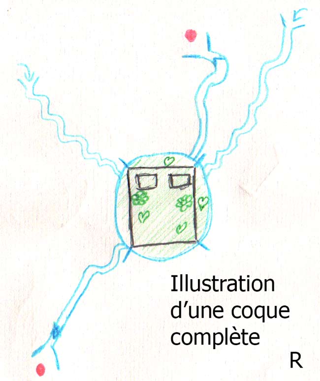 illustration pour coque éthérique - geobiologue a Rennes