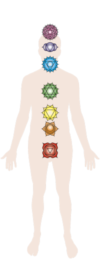 bioenergie magnetiseur passes